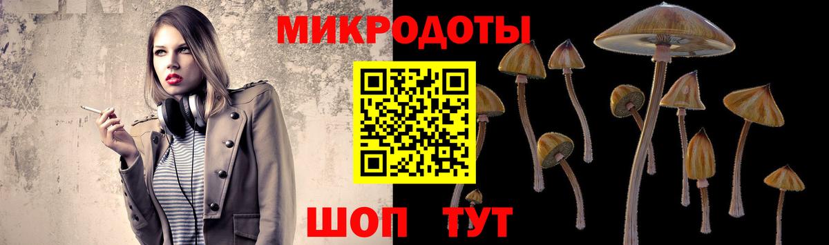 Миллерово  Галлюциногенные грибы Psilocybine cubensis  Вход с VPN 